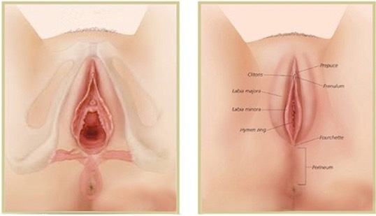 Vaginal Laser Rejuvenation